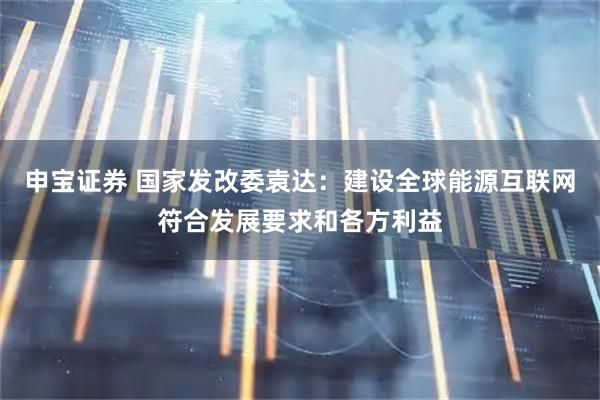 申宝证券 国家发改委袁达：建设全球能源互联网符合发展要求和各方利益