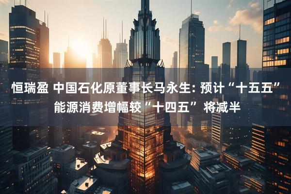 恒瑞盈 中国石化原董事长马永生: 预计“十五五” 能源消费增幅较“十四五” 将减半