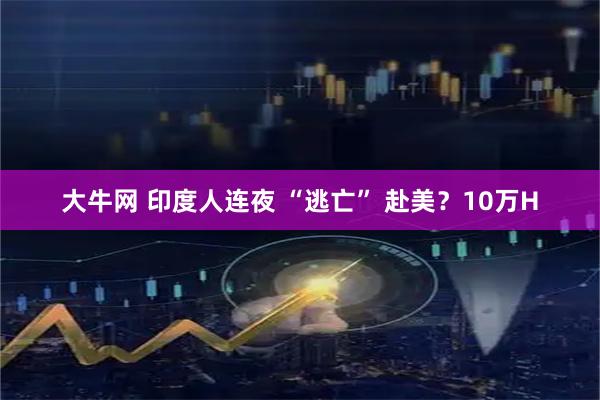 大牛网 印度人连夜 “逃亡” 赴美？10万H