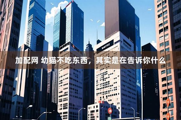 加配网 幼猫不吃东西，其实是在告诉你什么
