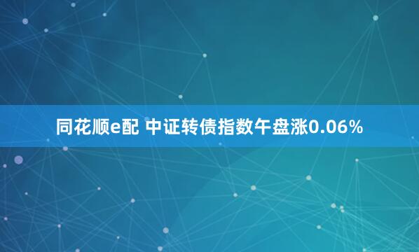 同花顺e配 中证转债指数午盘涨0.06%