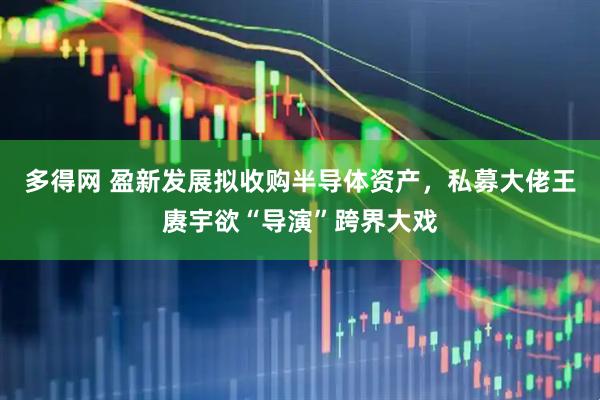 多得网 盈新发展拟收购半导体资产，私募大佬王赓宇欲“导演”跨界大戏