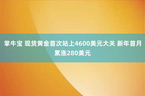 掌牛宝 现货黄金首次站上4600美元大关 新年首月累涨280美元