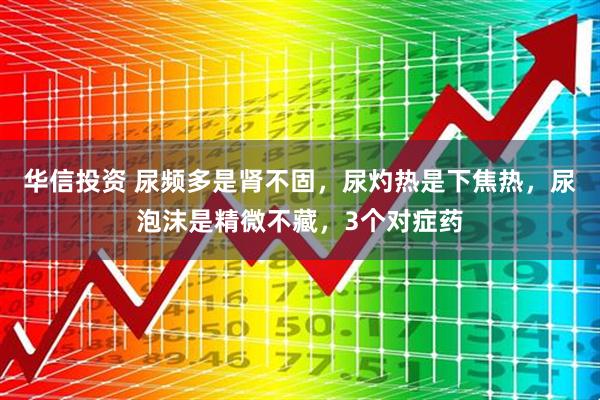 华信投资 尿频多是肾不固，尿灼热是下焦热，尿泡沫是精微不藏，3个对症药